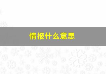 情报什么意思