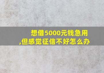 想借5000元钱急用,但感觉征信不好怎么办