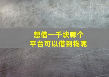 想借一千块哪个平台可以借到钱呢