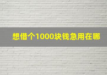 想借个1000块钱急用在哪