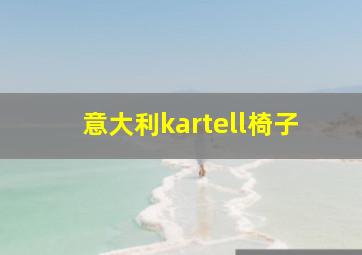 意大利kartell椅子