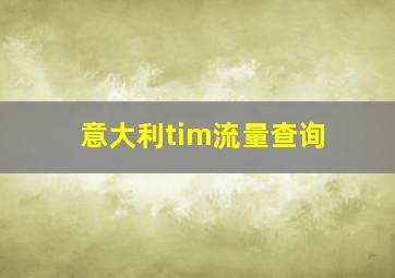 意大利tim流量查询