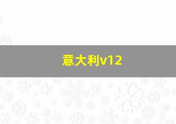 意大利v12