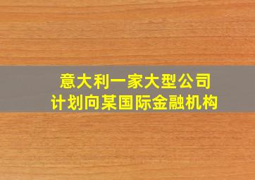 意大利一家大型公司计划向某国际金融机构