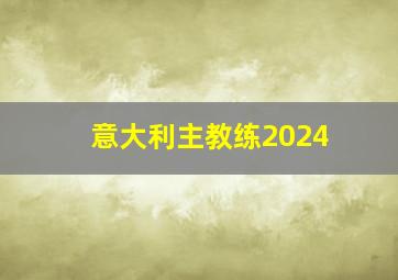 意大利主教练2024