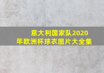 意大利国家队2020年欧洲杯球衣图片大全集