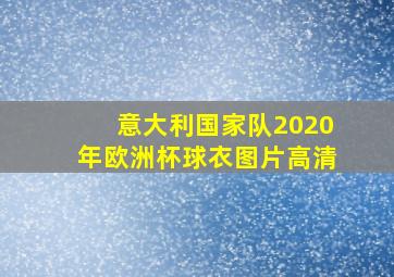 意大利国家队2020年欧洲杯球衣图片高清