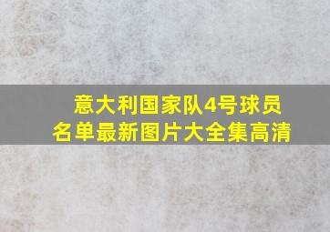 意大利国家队4号球员名单最新图片大全集高清