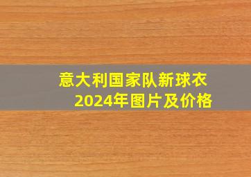 意大利国家队新球衣2024年图片及价格