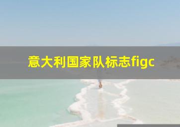 意大利国家队标志figc