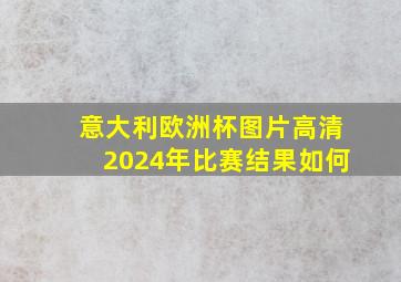 意大利欧洲杯图片高清2024年比赛结果如何