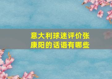 意大利球迷评价张康阳的话语有哪些