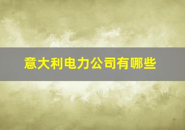 意大利电力公司有哪些