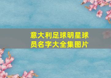 意大利足球明星球员名字大全集图片