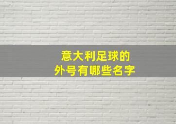 意大利足球的外号有哪些名字