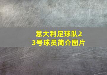 意大利足球队23号球员简介图片