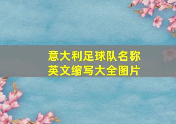 意大利足球队名称英文缩写大全图片