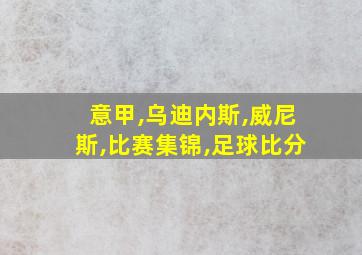 意甲,乌迪内斯,威尼斯,比赛集锦,足球比分