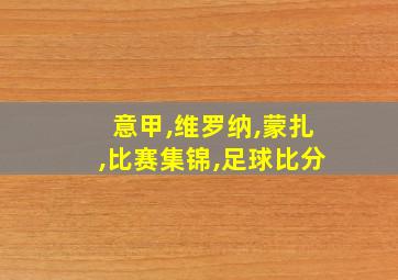 意甲,维罗纳,蒙扎,比赛集锦,足球比分