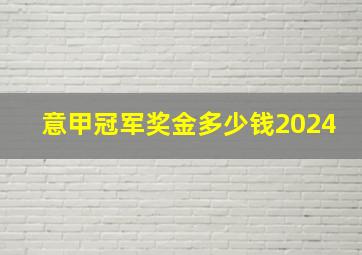 意甲冠军奖金多少钱2024