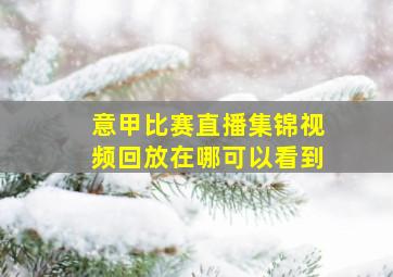 意甲比赛直播集锦视频回放在哪可以看到