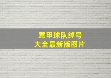 意甲球队绰号大全最新版图片