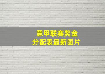 意甲联赛奖金分配表最新图片