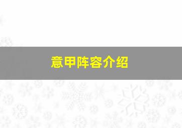 意甲阵容介绍