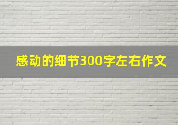 感动的细节300字左右作文