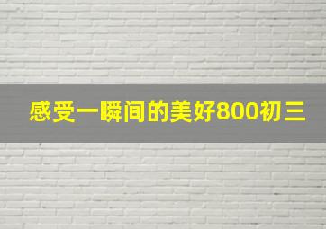 感受一瞬间的美好800初三