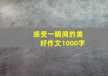 感受一瞬间的美好作文1000字