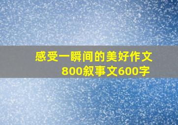 感受一瞬间的美好作文800叙事文600字