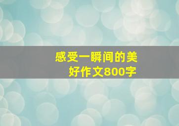 感受一瞬间的美好作文800字