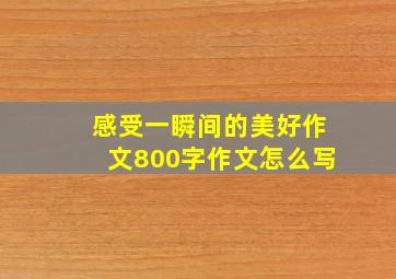 感受一瞬间的美好作文800字作文怎么写