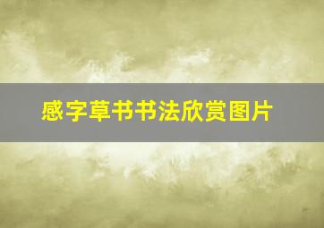 感字草书书法欣赏图片