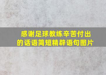 感谢足球教练辛苦付出的话语简短精辟语句图片