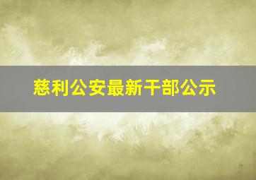 慈利公安最新干部公示