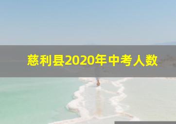 慈利县2020年中考人数