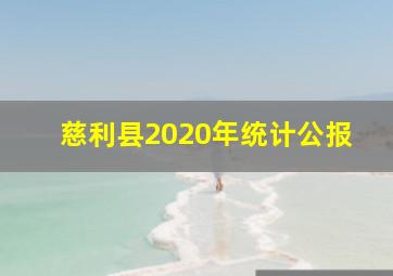 慈利县2020年统计公报