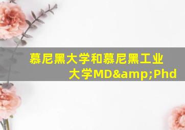 慕尼黑大学和慕尼黑工业大学MD&Phd