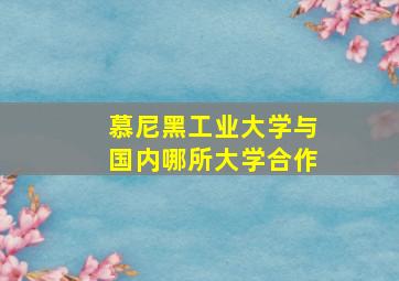 慕尼黑工业大学与国内哪所大学合作