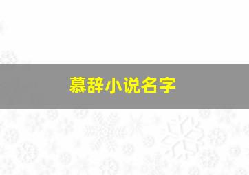 慕辞小说名字