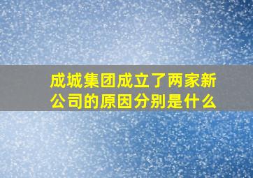 成城集团成立了两家新公司的原因分别是什么