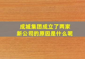 成城集团成立了两家新公司的原因是什么呢