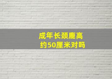 成年长颈鹿高约50厘米对吗