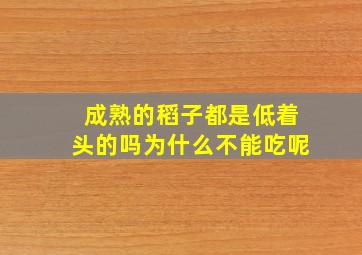 成熟的稻子都是低着头的吗为什么不能吃呢