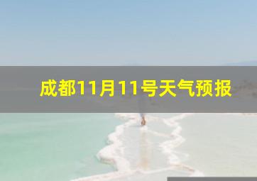 成都11月11号天气预报