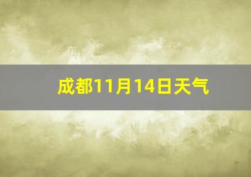 成都11月14日天气