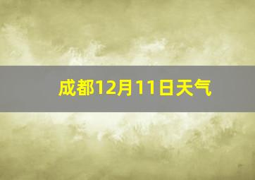 成都12月11日天气