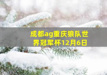 成都ag重庆狼队世界冠军杯12月6日